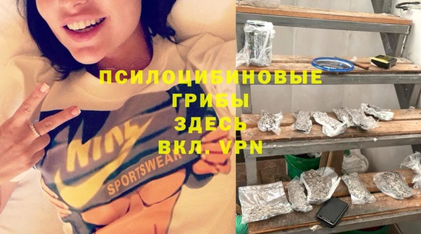 прущая мука Горняк