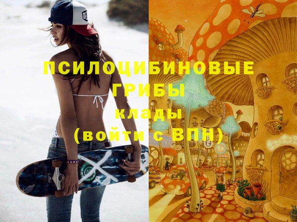прущая мука Горняк