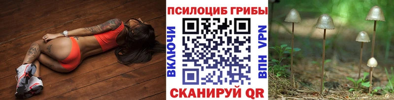 Псилоцибиновые грибы Magic Shrooms  Мглин 